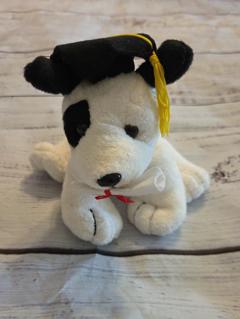 Plush Graduation Dog Toy - White and Black Plush Puppy